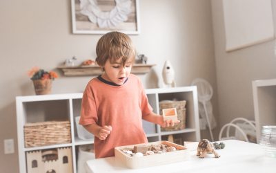The Importance of Doing Play Therapy in Person